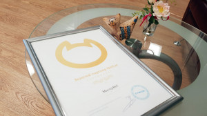 Новости — Заслужили статус "Золотой партнер NetCat" — фото