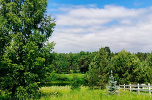 Новости — Время потрогать траву — фото