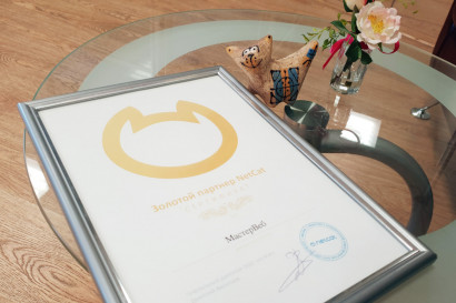 Заслужили статус "Золотой партнер NetCat" — фото-1_1