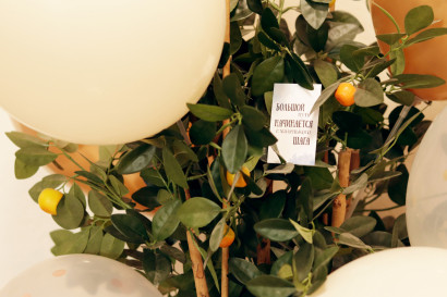 19 лет МастерВеб — фото-1_6