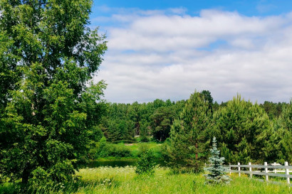 Время потрогать траву — фото-1_1