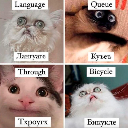 Кейс: разработка сайта для школы английского языка на Tilda — Адаптивный дизайн — фото