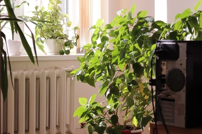 О нас — фото-525_7