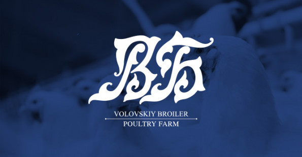 Создание сайта птицефабрики