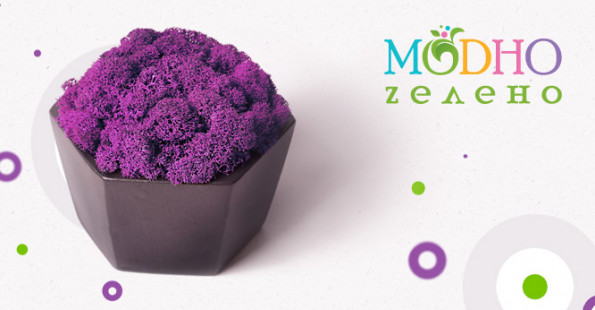 Создание лендинга по стабилизированному мху