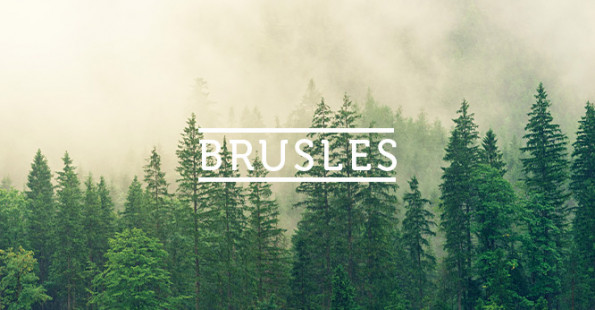 Создание и комплексное продвижение сайта производителя пиломатериалов