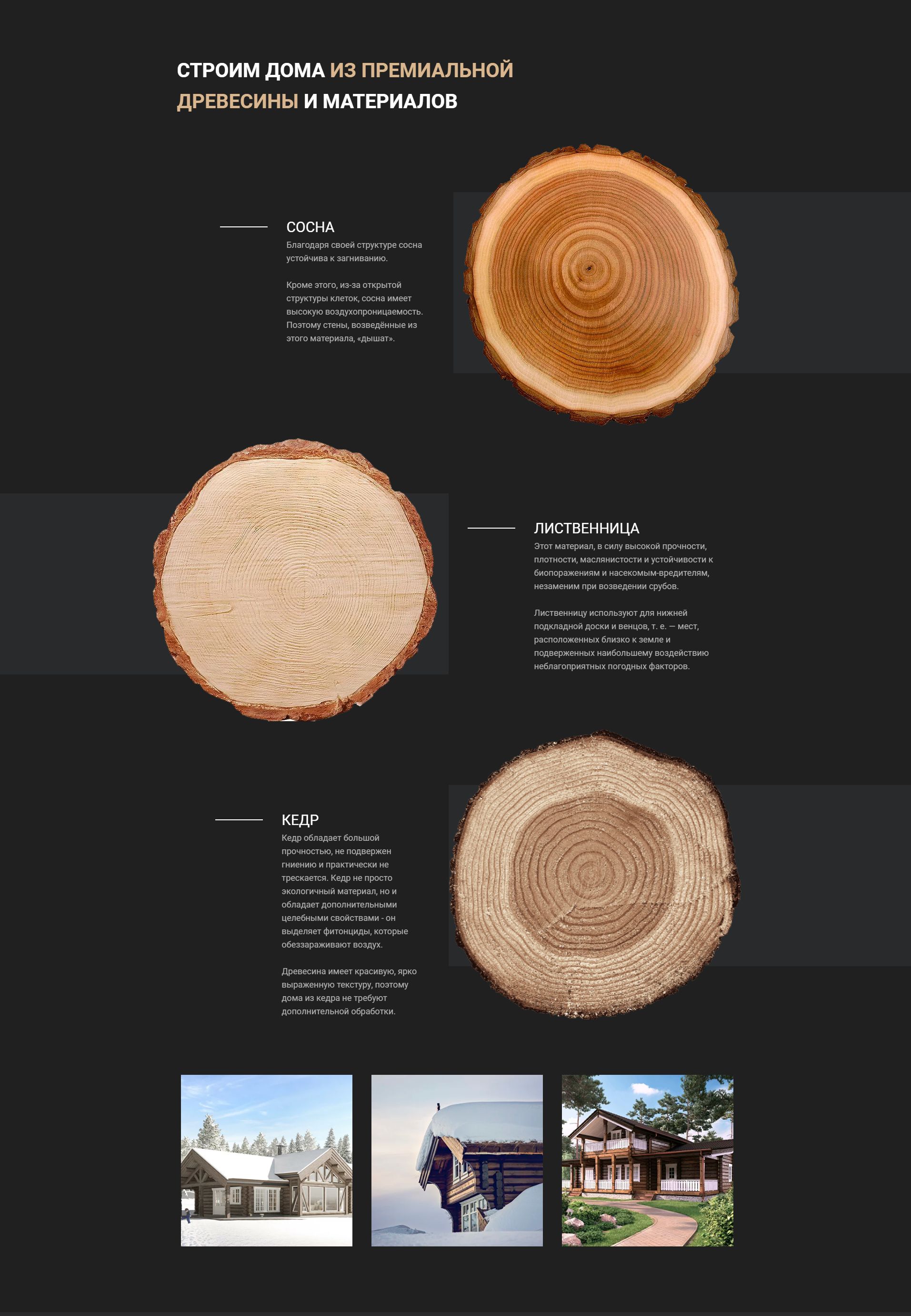 Создание промо-сайта по домам из лафета — фото-560_3