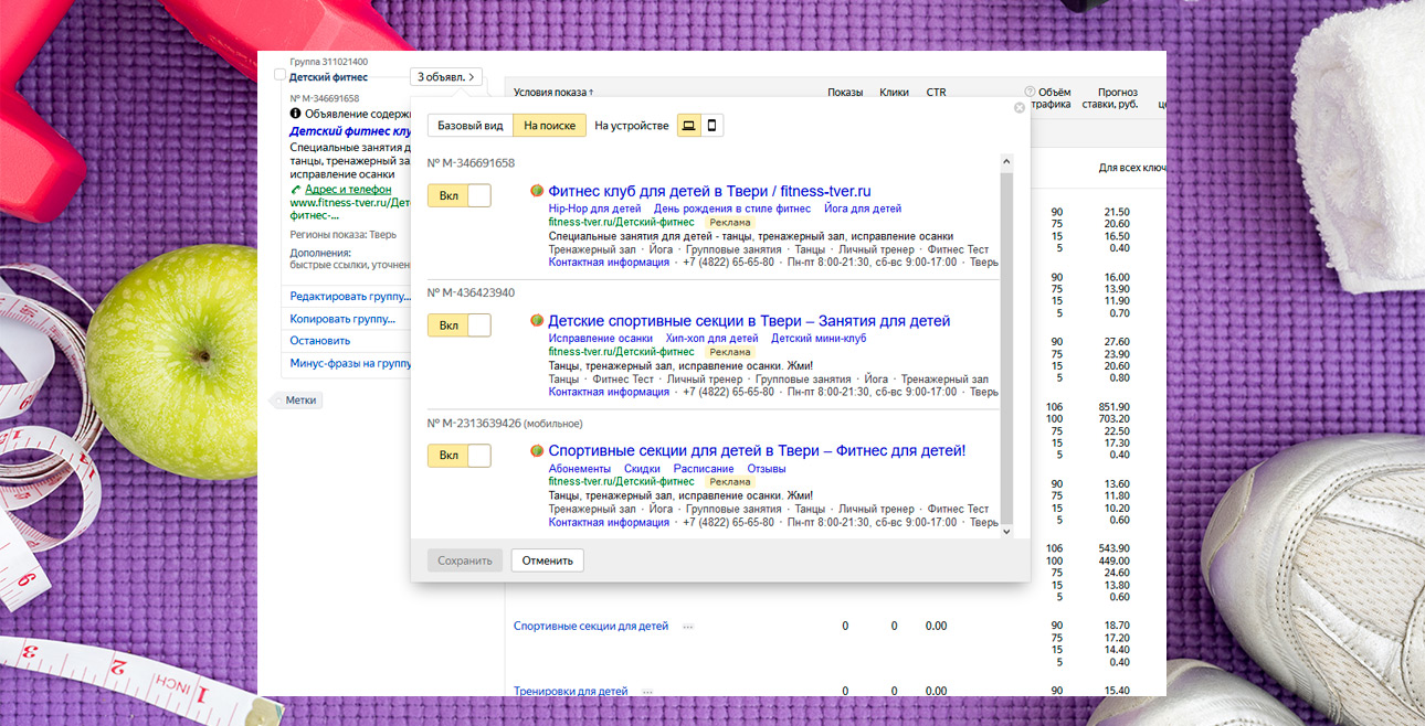 Комплексная реклама фитнес-клуба — Настройка рекламы в Директе — фото
