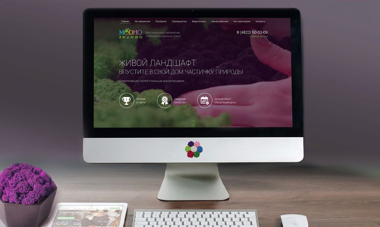 Создание лендинга по стабилизированному мху — фото-560_1